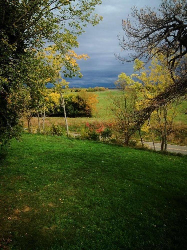Netherfield Natural Farm Fontana Extérieur photo