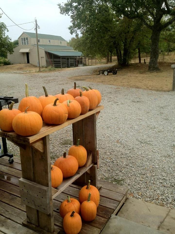 Netherfield Natural Farm Fontana Extérieur photo